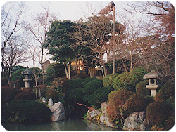 foto © Ludmila Schaferová